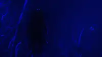Backdrop to the movie "Hurry Up Tomorrow - Short Film | Complex Cover" #712170